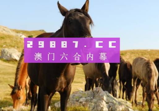 澳門(mén)管家婆一肖一碼一中一開(kāi),可靠解析評(píng)估_V292.701